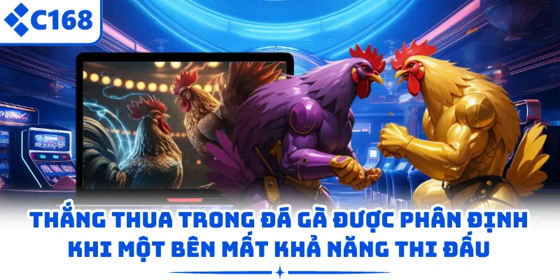 Thắng thua trong đá gà được phân định khi một bên mất khả năng thi đấu