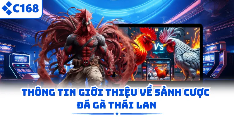 Thông tin giới thiệu về sảnh cược đá gà Thái Lan